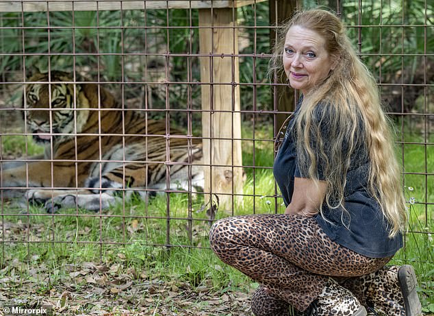 Poll: Can Carole control her cats? Volunteer at Carole Baskin’s Big Cat Rescue in Florida bitten by a TIGER